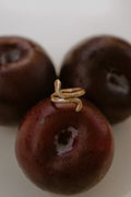 Serpents Hold Ring