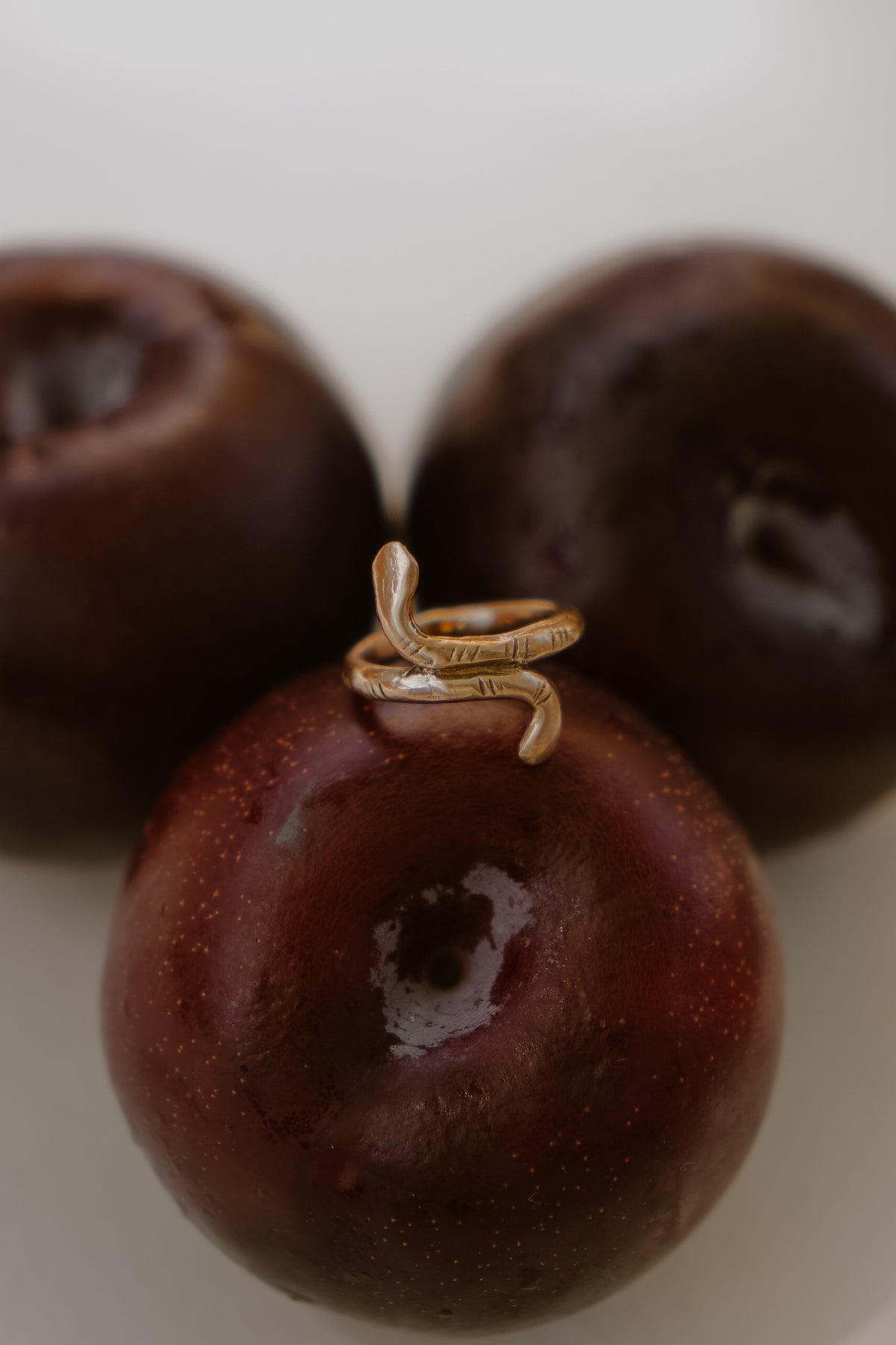 Serpents Hold Ring