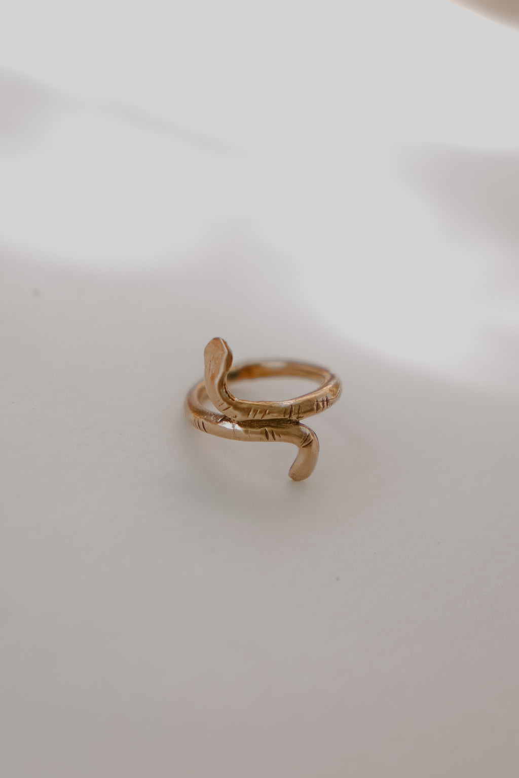Serpents Hold Ring