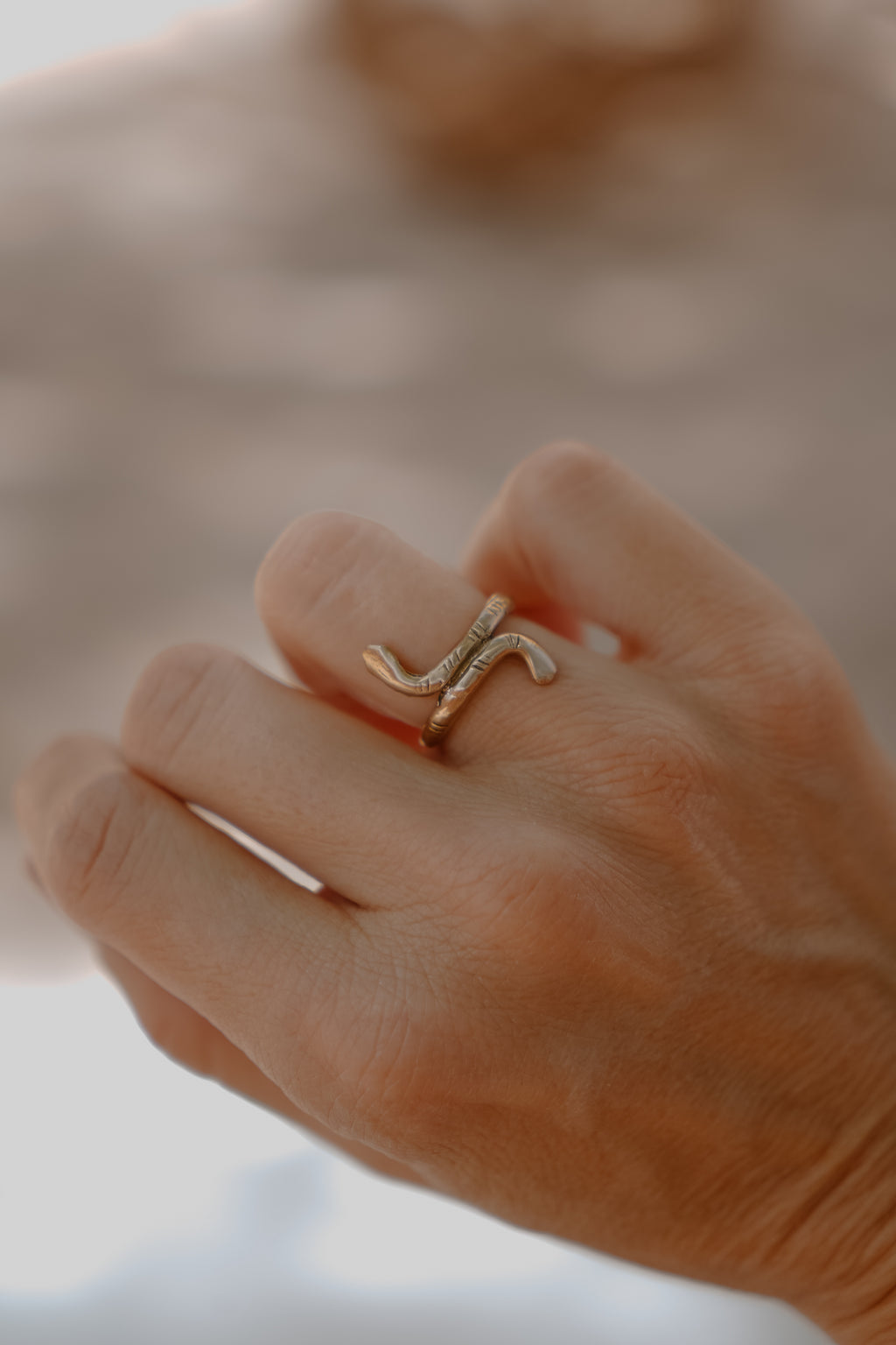 Serpents Hold Ring
